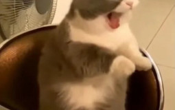 ALLEZ-BOOST TIERLIST